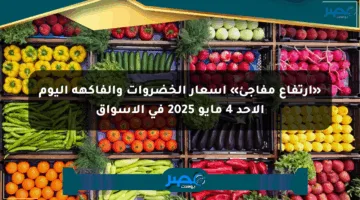 «ارتفاع مفاجئ» أسعار الخضروات والفاكهة اليوم الأحد 4 مايو 2025 في الأسواق